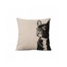 MagiDeal 45 * 45 Cm De Algodón Perro Caso...